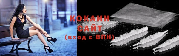 молекула духа Богданович