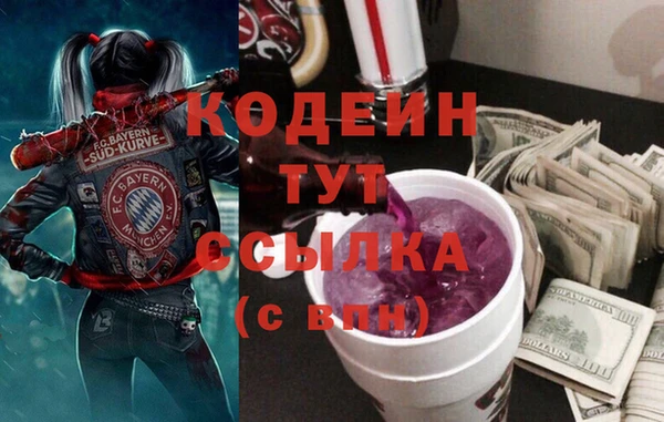 мдпв Богородицк