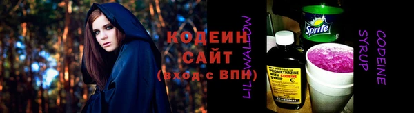 молекула духа Богданович