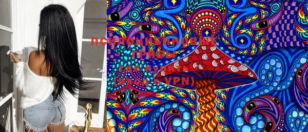 марки lsd Белокуриха