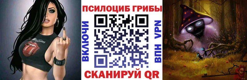 Купить где  Красный Кут  Псилоцибиновые грибы ЛСД 