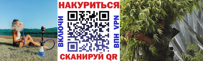 Бошки Шишки OG Kush  Купить где  Красный Кут 